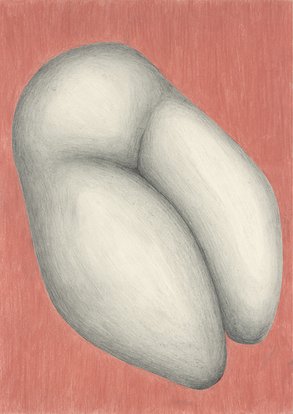 FLESH #1, 2017, 42 x 29.7 cm, pencil on paper