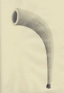 HORN, 2016, 21 x 14.8 cm, pencil on paper